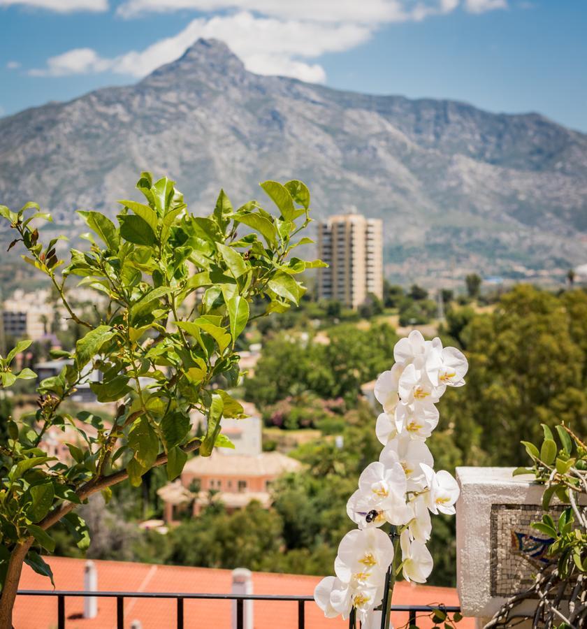 Molo 44 Suites Puerto Banus Marbella Exteriér fotografie